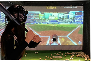 Interactive baseball sports simulator